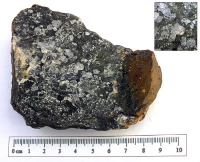 Galena, Eaglebrook. (CWO) Bill Bagley Rocks and Minerals